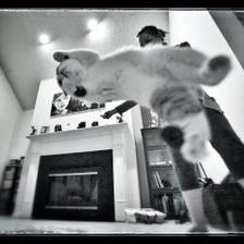 [Image: IMG 2920 by MNS1974]