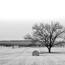 [Image: Winter Field by shutterdrone]