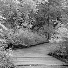 [Image: Park Path by shutterdrone]