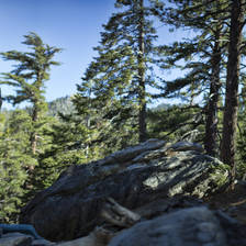 [Image: Bouldering Self Portrait by Ryespypi]