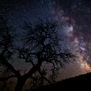 [Image: IMG 0295propic by EricHinesPhotos]