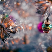 [Image: Image by 5tu]