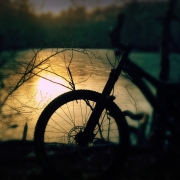 [Image: Image by tomguilmette]