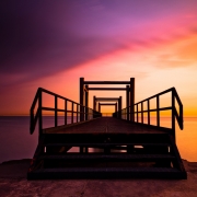 [Image: IMG 0850 2propic by EricHinesPhotos]