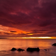 [Image: Whidbey Seagull Sunset by benchasephoto]