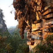 [Image: SFW012 Sagada Caves Philippines 001 by SeanFWhite]